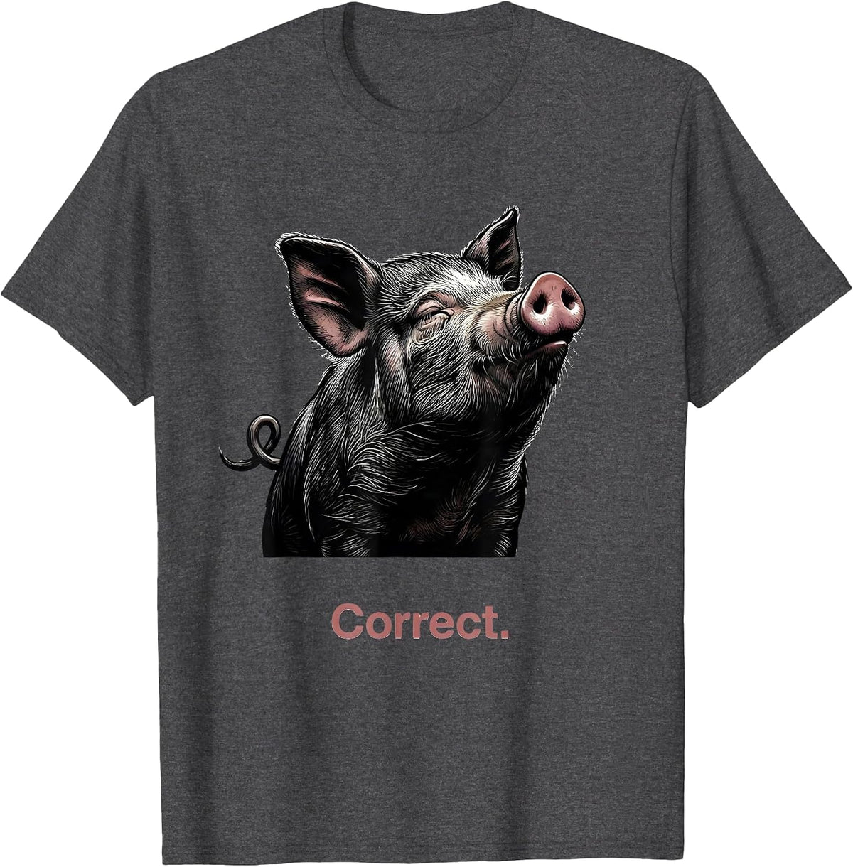 Correct Funny Pig Farm Animal Lover Gift T-Shirt - Dark Heather Grey
