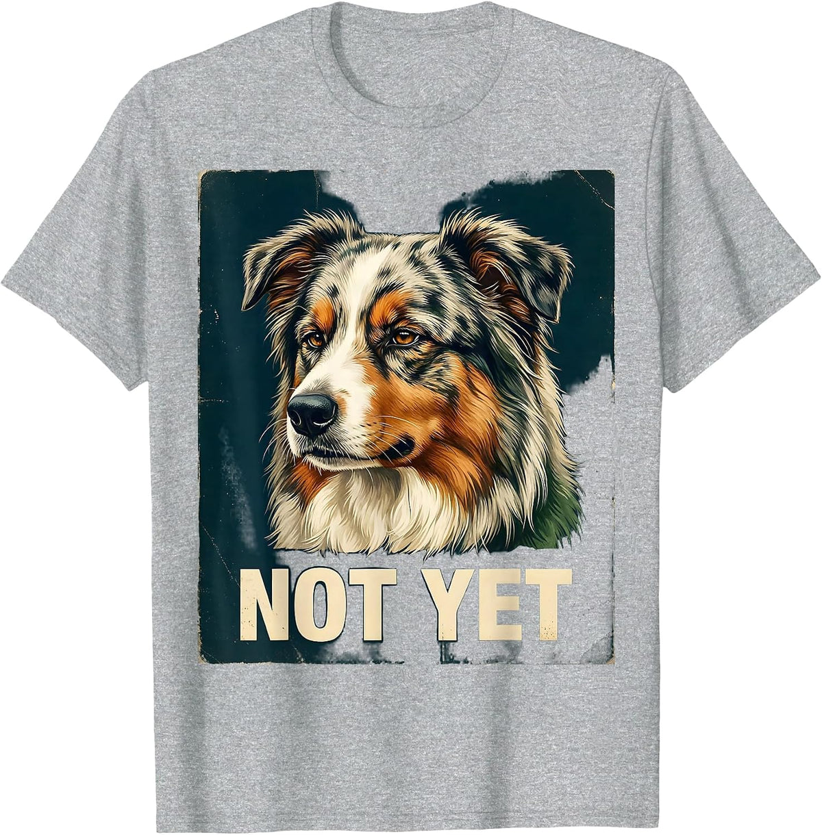 Australian Shepherd Says Not Yet Vintage Funny Dog Lover T-Shirt, Men, Heather Grey, Small - As Pictured