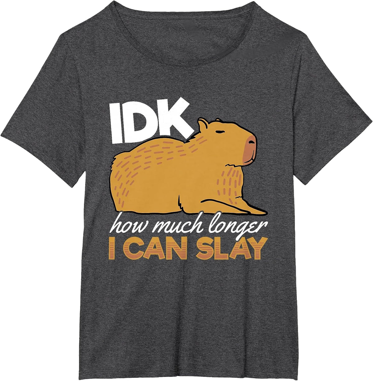 Capybara Animals Pet - IDK How Much Longer I Can Slay T-Shirt - Dark Heather Grey