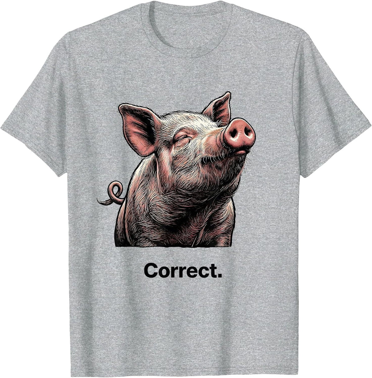 Men's Correct Funny Pig Farm Animal Lover Gift T-Shirt - Heather Grey