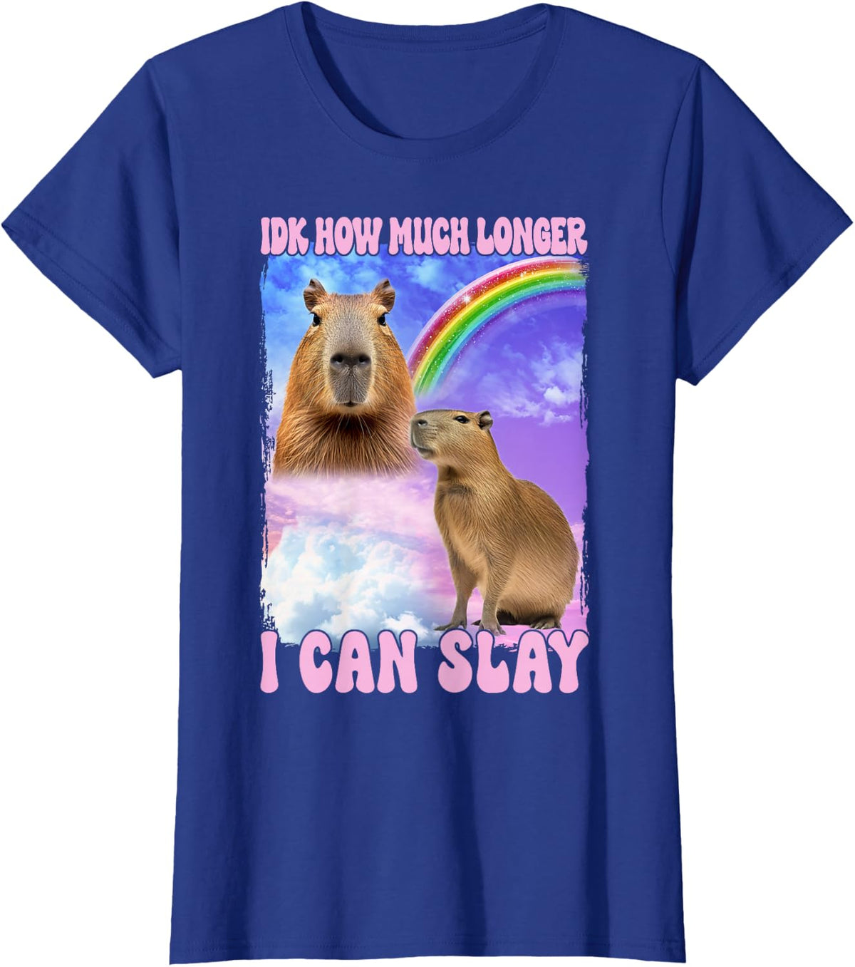IDK How Much Longer I Can Slay Capybara Funny T-Shirt - Royal Blue