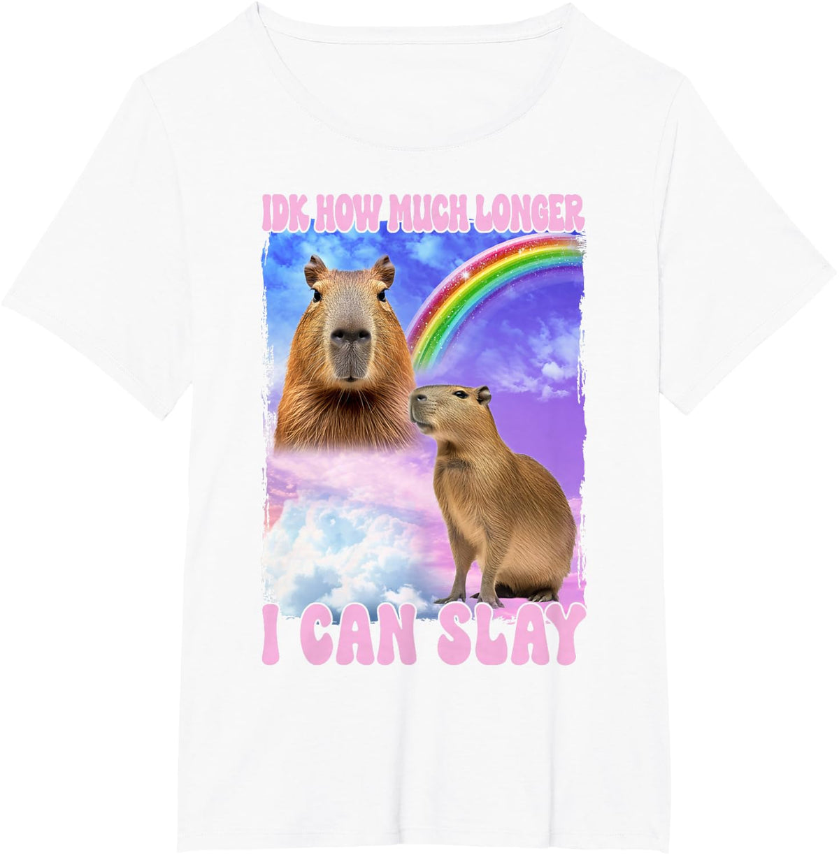 IDK How Much Longer I Can Slay Capybara Funny T-Shirt - White