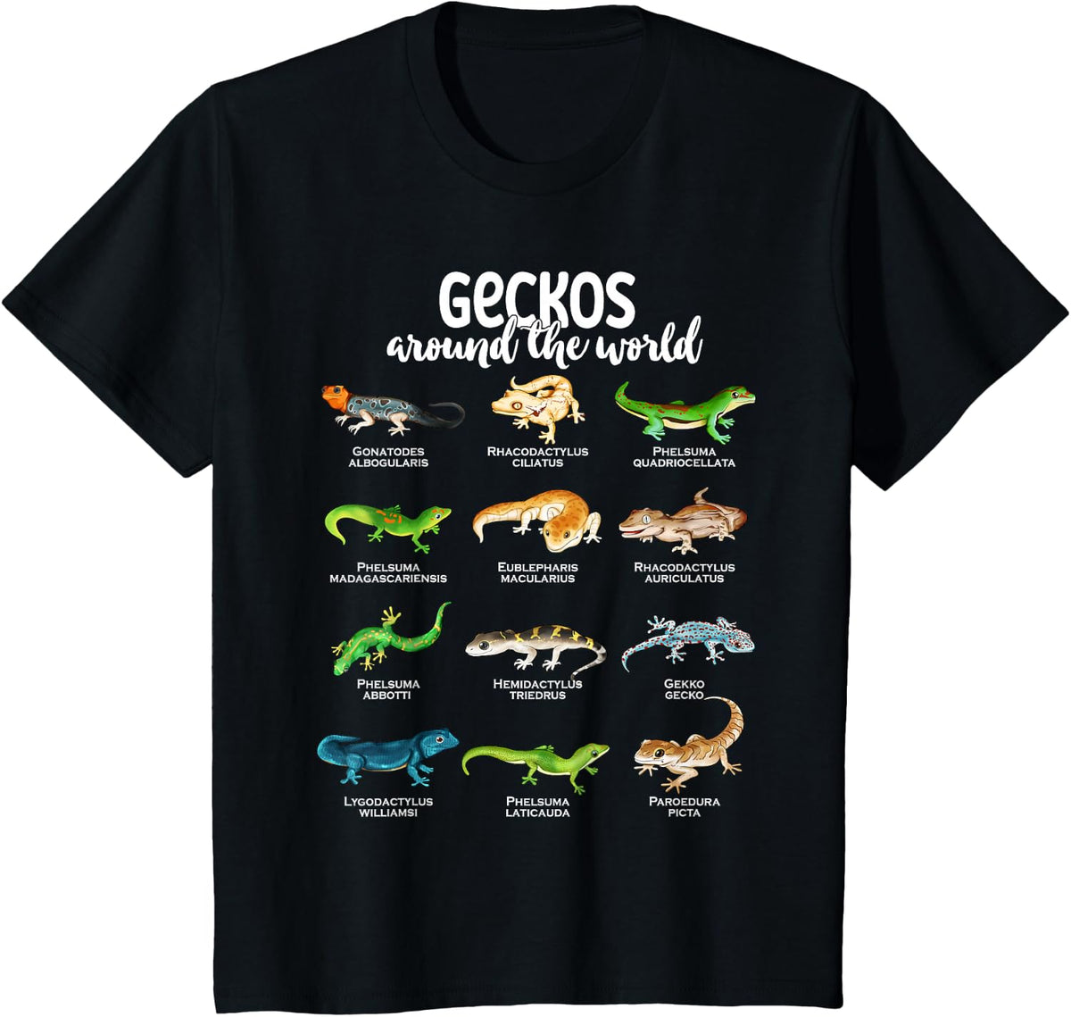 Geckos around the world - Types of Geckos T-Shirt - Black
