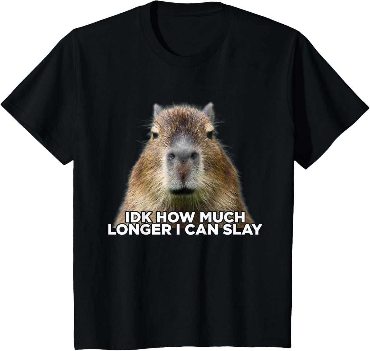 Idk How Much Longer I Can Slay Capybara Sarcastic Dank Meme T-Shirt - Black