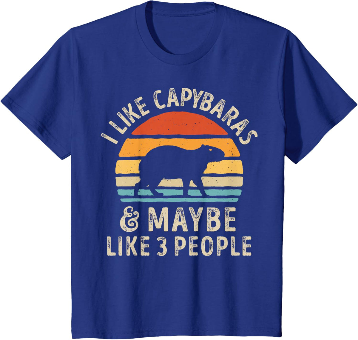 I Like Capybaras and Maybe 3 People Capybara Rodent Retro T-Shirt - Royal Blue