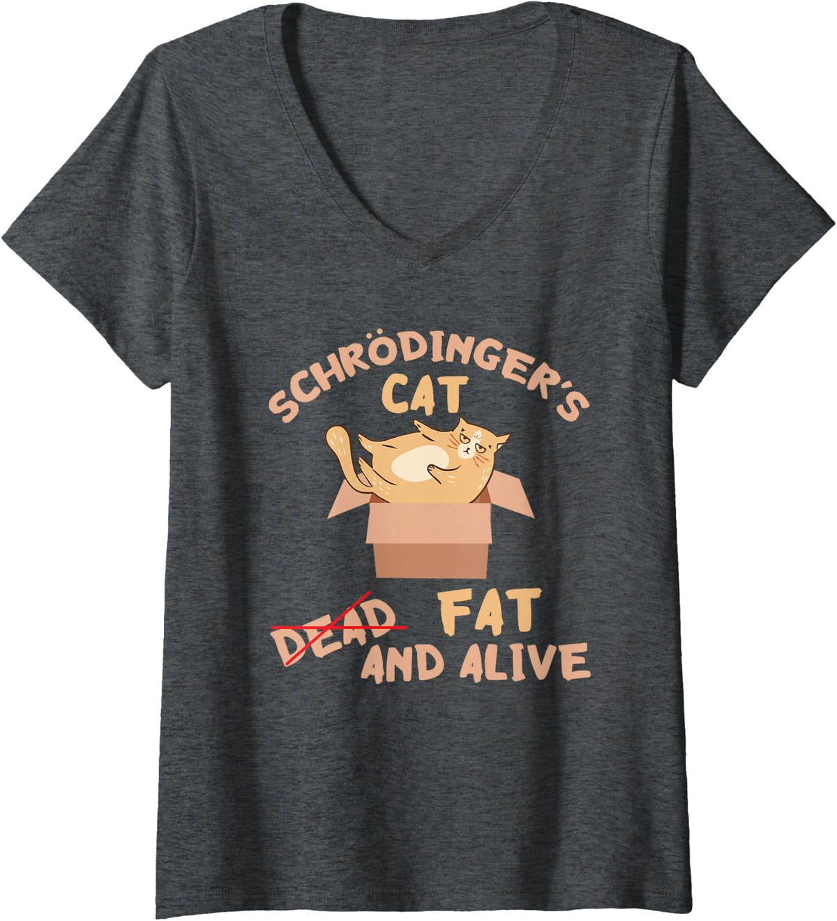 Women's Schroedingers Cat Fat and Alive Physicist Quantum Mechanics V-Neck T-Shirt - Dark Heather Grey