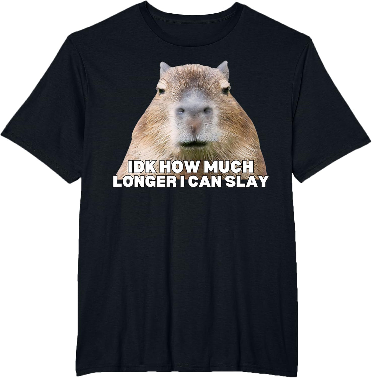 Idk How Much Longer I Can Slay Capybara Internet Memes Funny T-Shirt - Black