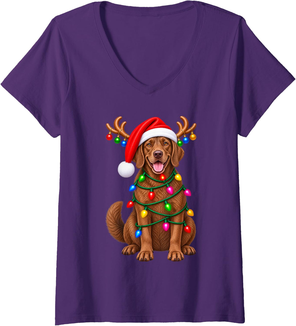 Women's Rhodesian Ridgeback Christmas Dog Reindeer Lights Pajama V-Neck T-Shirt - Purple