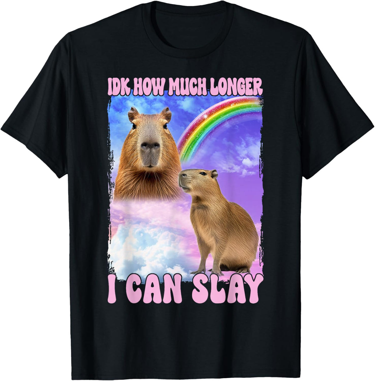 IDK How Much Longer I Can Slay Capybara Funny T-Shirt - Black