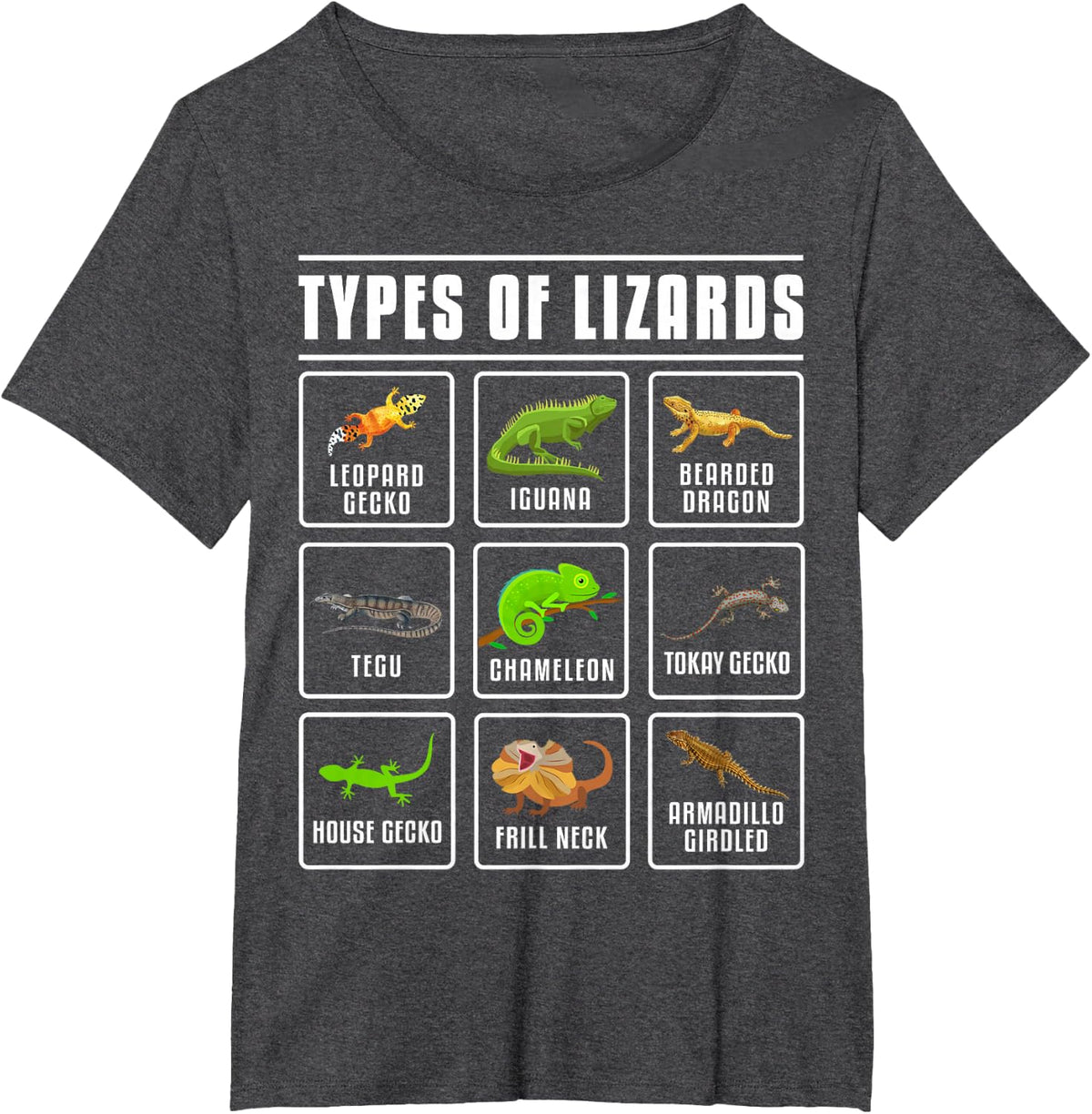 Types of Lizards Lizard Reptiles T-Shirt Small - Dark Heather Grey