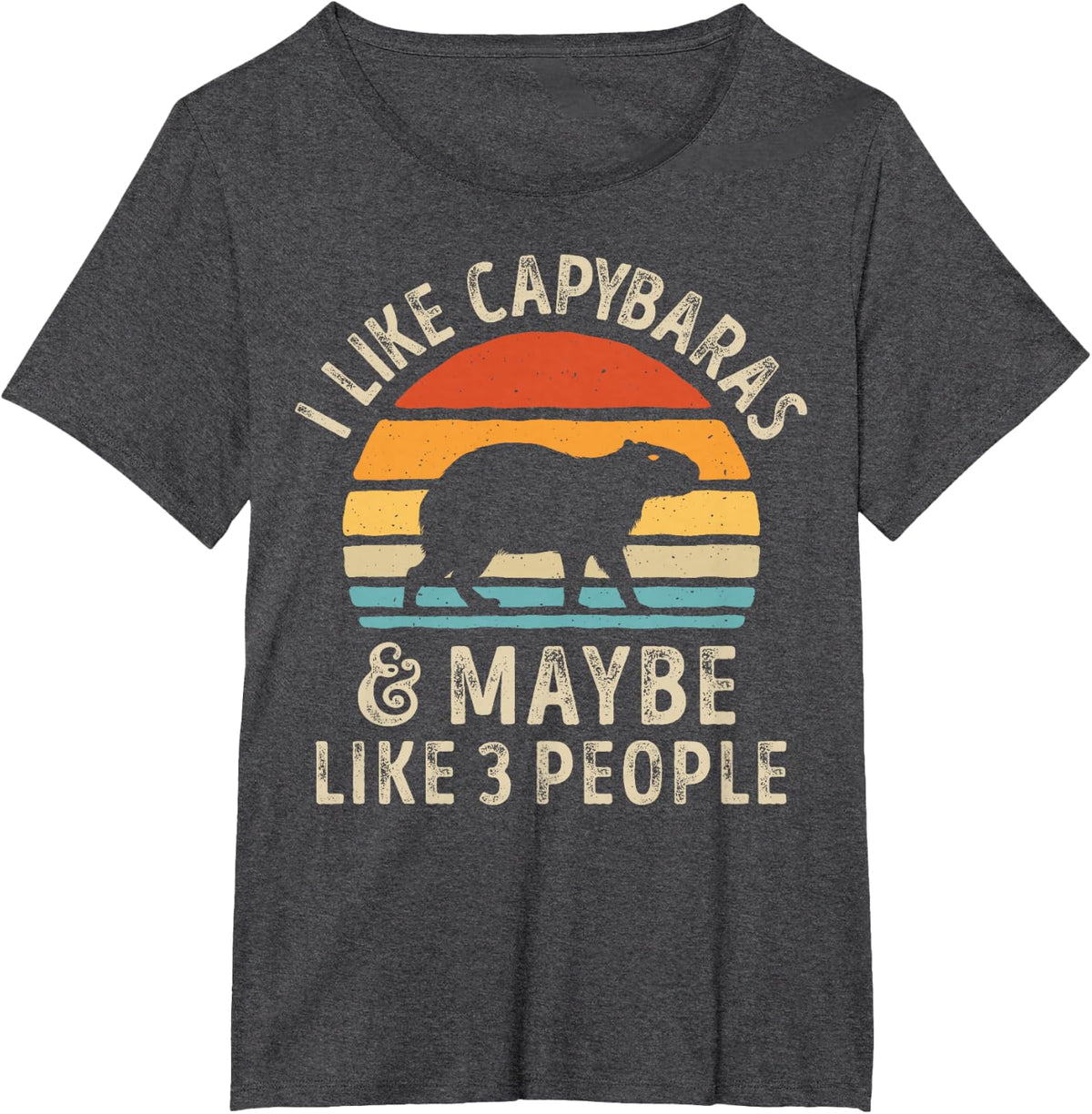 I Like Capybaras and Maybe 3 People Capybara Rodent Retro T-Shirt - Dark Heather Grey