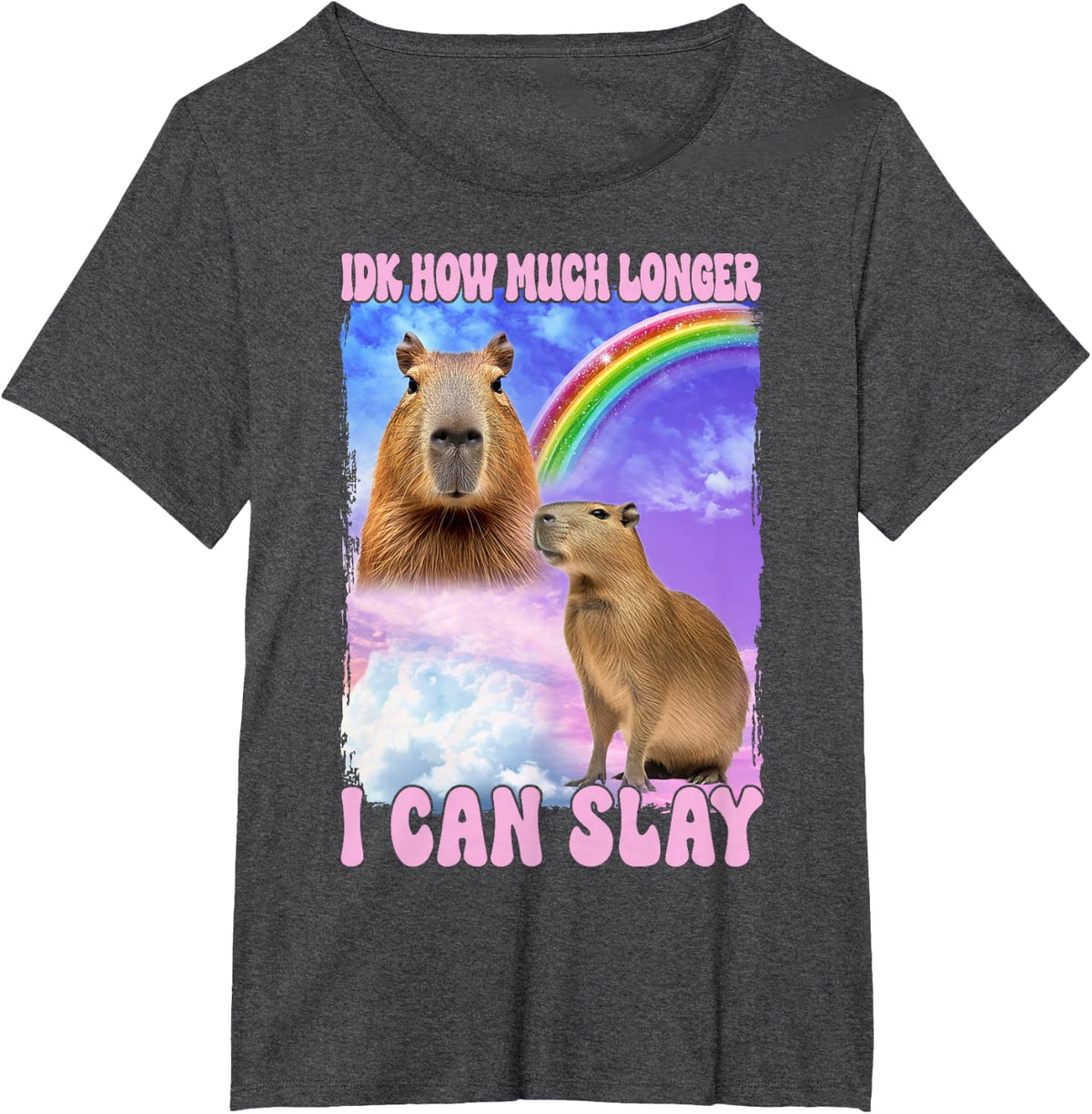 IDK How Much Longer I Can Slay Capybara Funny T-Shirt - Dark Heather Grey
