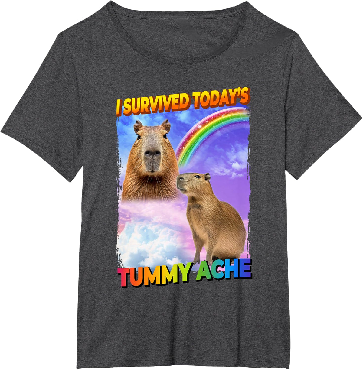 I Survived Today's Tummy Ache Capybara T-Shirt Tee for Men Women Kids - Dark Heather Grey