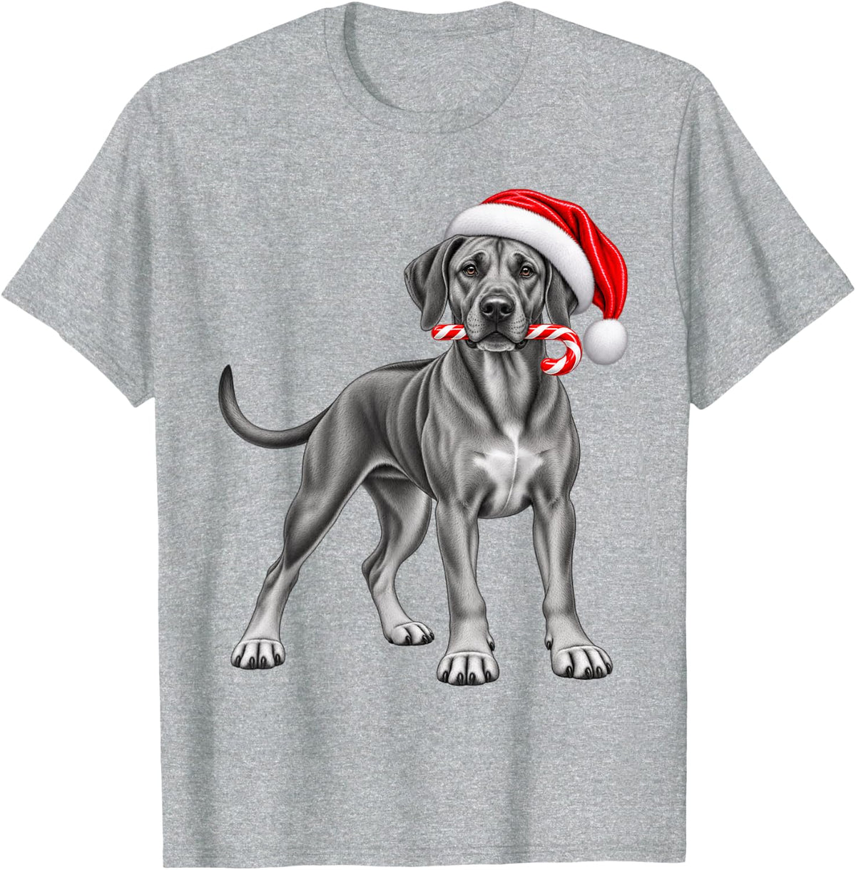 Rhodesian Ridgeback Christmas Santa Hat Candy Cane Xmas Dog T-Shirt - Heather Grey